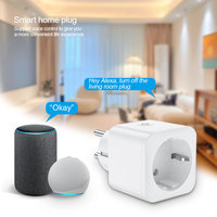 Tuya 16A 110 ~ 220V WIFI sans fil Smart Home Alexa télécommande prises de courant EU prises intelligentes avec protocole de matière Apple HomeKit