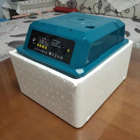 Nouvelle Boîte d'Incubation Automatique Intelligente Polyvalente pour Reptiles, Serpents, Tortues, Lézards, Oiseaux, Perruches, Pigeons, Faisans et Espèces Rares