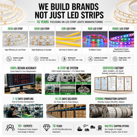 Bande lumineuse LED flexible en cuivre à commande intelligente personnalisée SMD5050 60 LED/m RGB changeant de couleur avec contrôle à distance par application et code QR