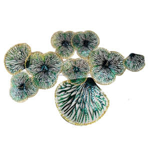 Arte de pared en forma de hoja escultórica 3D - Product Image 2