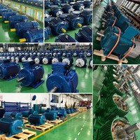 Moteur asynchrone triphasé à faible bruit OEM 220V-600V 50Hz/60Hz 15kw 22kw 30kw 45kw