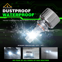 Nueva Bombilla LED para Faros Delanteros de Automóvil de 12V 6500K H1 H7 H4 H11 9005 9006 9012, 300W, para Autos, Pedidos al por Mayor, Personalizable
