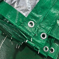 Bâche en PE verte à l'extérieur et argentée à l'intérieur, imperméable et anti-UV, pour la couverture de camions et la construction