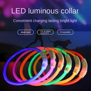<span class=keywords><strong>Collare</strong></span> per Cani Luminoso a LED con Nastro in Silicone, Motivo Solido, Ricarica USB, Chiusura Ecologica, per Cani di Piccola Taglia - Product Image 1
