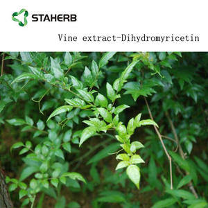 Diidromiricetina <span class=keywords><strong>DHM</strong></span> estratto di tè 98% vite - Product Image 4