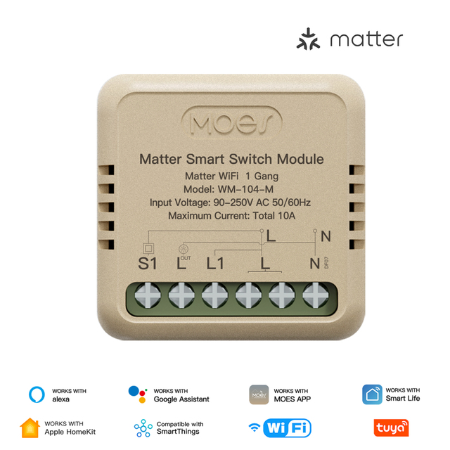 Mini Matter Tuya WiFi Smart Relay Switch Module 16A 220V Voice Control Compatible With Alexa Google Home App Remote Automation