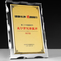 Plaque de récompense en verre cristal personnalisée pour entreprise, plaque d'autorité, plaque de licence en verre, trophée de marque en cristal, vente en gros