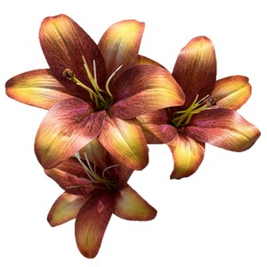 Giardino <span class=keywords><strong>Segreto</strong></span>: Giglio Artificiale 3D a Stelo Singolo in Plastica per Decorazioni Nuziali - Marrone, Viola, Rosa, Bianco - Composizione da Terra - Product Image 1