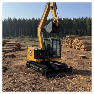 ญี่ปุ่นนำเข้ารถขุดขนาดเล็ก Cat307.5 มือสองสำหรับงานก่อสร้างภูมิทัศน์ กำลังไฟ 45.5 กิโลวัตต์ ประหยัดน้ำมันและคุ้มค่า - Product Image 1