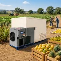 Bulk fruitdroogmachine warmtepompdehydrator voor Afrikaanse groothandelsfabriek