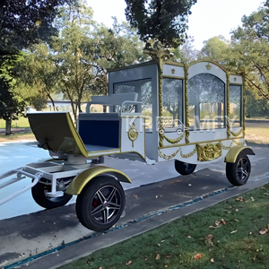 Luxury Retro European Style Funeral Coffin Car Popular <b>White</b> Four-wheeled Hearse with <b>White</b> <b>Curtains</b> - Product Image 5