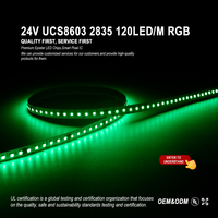 Bande de pixels LED RGB 120 LED 24V ultra-mince haute densité, programmable, double date, UCS8603 65536, gris, 8.0KHZ, numérique 16 bits