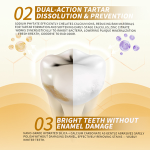 Pâte dentifrice au venin d'abeille Keleek en gros OEM – Contrôle du tartre, <span class=keywords><strong>protection</strong></span> des gencives, double action, technologie noire, pâte <span class=keywords><strong>dentaire</strong></span> anti-calcul. - Product Image 4