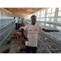 Équipement d'Élevage Avicole Professionnel : Cages à Poules en Niveaux (3/4 Étages) pour Poulets Pondeurs