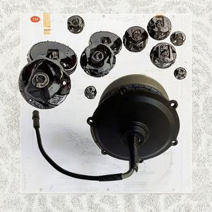 Moteur de moyeu arrière sans balais 750W pour vélos électriques, étanche IP54, frein à disque, options 60V 48V 36V disponibles, <span class=keywords><strong>Engwe</strong></span> <span class=keywords><strong>PRO</strong></span> - Product Image 2