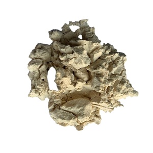 Proteína concentrada funcional Separada, extraída y concentrada de harina de soja desgrasada no modificada genéticamente - Product Image 4