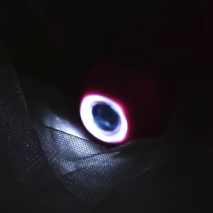 Deux têtes point G clito mamelon gode masseur vibrateur avec <span class=keywords><strong>cam</strong></span>éra de prise de vue vidéo Rechargeable étanche adulte jouets sexuels pour femme - Product Image 6