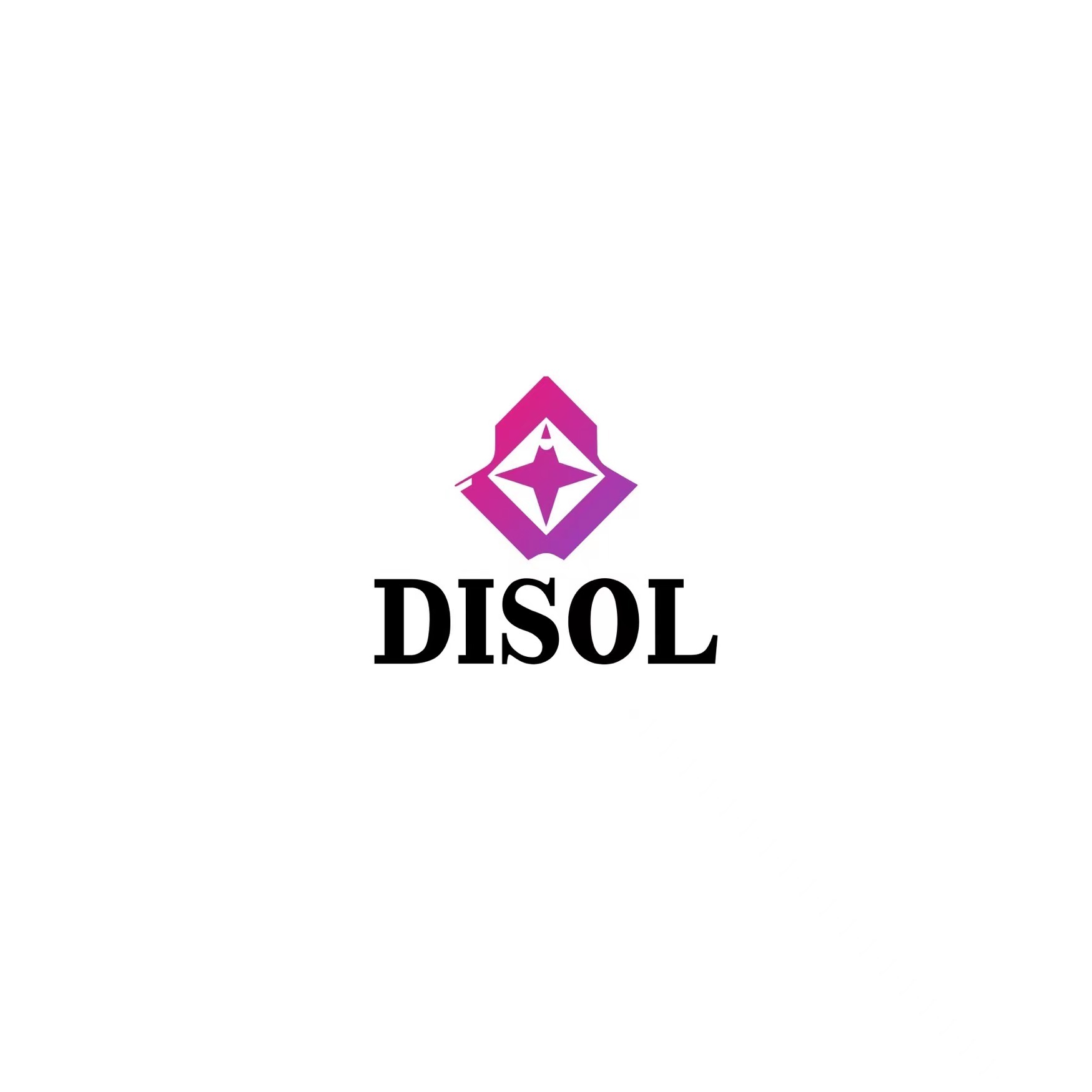 Guangzhou Diso Trading Co., Ltd. logo