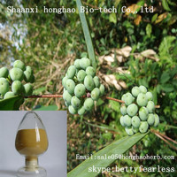 Extrait de Poria Cocos Naturel en Poudre, 30% de Polysaccharides, Extrait Botanique de Haute Qualité Fu Ling