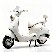 Moto électrique avec batterie EEC, 1500W, 60V, 2 places, motos électriques