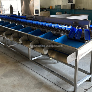 Fish Grader Machine Apple Sort Sorting Machine Olive Pineapple Fruit Classifier Tomato Weight Grading Machine for Sale - Product Image 4