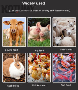 Macchina per Pellet Multifunzione, Granulatrice per Mangimi Animali con Motore - Product Image 6