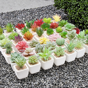 Petites plantes succulentes artificielles blanches en pots en plastique pour la décoration <span class=keywords><strong>de</strong></span> la maison, <span class=keywords><strong>de</strong></span> la <span class=keywords><strong>salle</strong></span> <span class=keywords><strong>de</strong></span> <span class=keywords><strong>bain</strong></span> ou <span class=keywords><strong>de</strong></span> petits espaces - Product Image 3