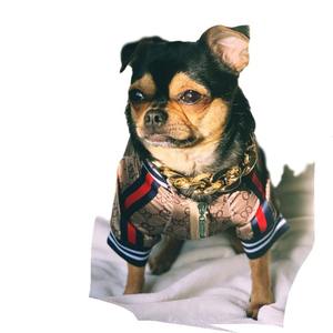 Toptan klasik moda lüks tasarımcı evcil köpek kıyafeti ceket Pet giyim köpek ceket lüks Pet köpek giysileri mont - Product Image 5