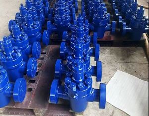 วาล์วเหล็กตีขึ้นรูปขนาด 6A 2-1/16 นิ้ว 5000psi แบบก้านไม่ยกขึ้น พร้อมซีลโลหะต่อโลหะ สำหรับหัวบ่อนน้ำมัน - Product Image 1
