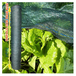 <span class=keywords><strong>Filet</strong></span> <span class=keywords><strong>d</strong></span>'<span class=keywords><strong>ombrage</strong></span> pour l'agriculture Tissu <span class=keywords><strong>d</strong></span>'<span class=keywords><strong>ombrage</strong></span> PE-HD Anti UV Mesh Sun Shade Sail Net for Agriculture Green House Car Parking - Product Image 6