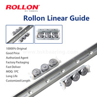 NTE63 NUE63 NKE63 TLV43 CS43 NTE28 NTE28L Roulements à rouleaux linéaires italiens 100% originaux Kit de roulements à rouleaux en acier Rail de guidage Mouvement CNC