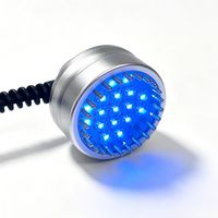 Produit Tendance 2026 : Appareil de Soin Capillaire par Électroporation, Dispositif à Microcourant, Masseur Facial Galvanique et Masseur de Cuir Chevelu