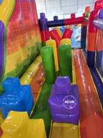 Maison gonflable combinée de rebond avec toboggan Funcity à vendre Château plein d'entrain personnalisé en PVC de haute qualité