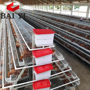 Trade Assurance Best Quality Cage Laying Hens for Sale in Poultry Farm House - Product Image 6