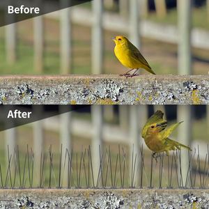 Rvs Vogel Spikes Defender Spike Afstotende Vogels Afschrikmiddel Kit Voor Ongediertebestrijding - Product Image 3