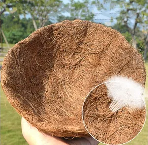 Hängender Blumen korb mit natürlichem Kokosnuss-Liner