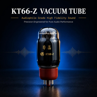 Tube à vide Shuguang KT66-Z, valve de sortie de puissance KT66 de qualité supérieure pour amplificateur à tubes Hi-Fi haut de gamme et projets DIY audiophiles