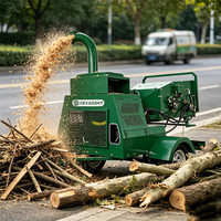 Broyeur de bois diesel 22HP DWC-22 avec système d'alimentation hydraulique, déchiqueteur de bois 150mm, broyeur de branches professionnel pour usage agricole