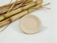 Assiette en papier ronde jetable, biodégradable, écologique, pour le camping et les fêtes