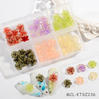 Fleur 3D Nail Art Résine Fleur Nail Art Charms Box Kawai Nail Art Flower for Spring New Designs Charms