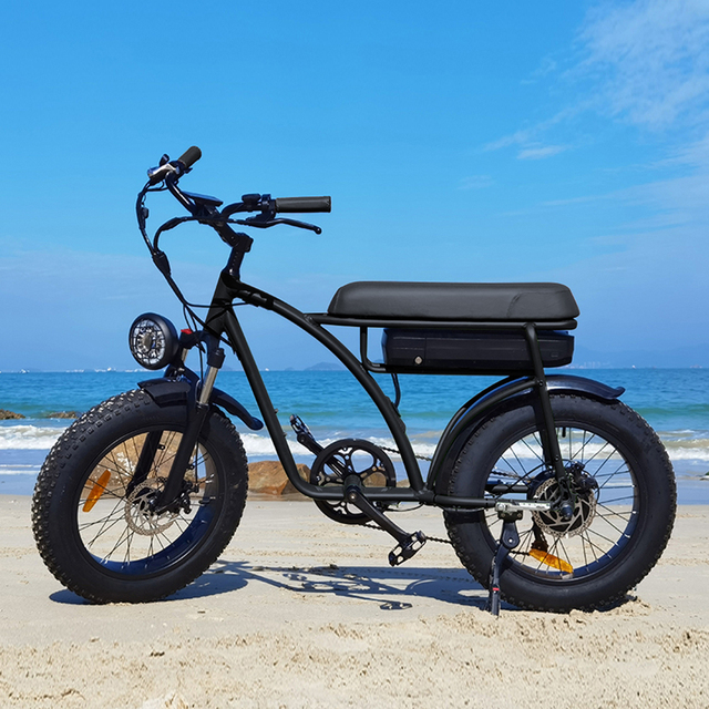 Good Price EB1 E-bike with Suspension 48V 350W Lithium Battery Disc Brake off Road Retro Electric Bicycle