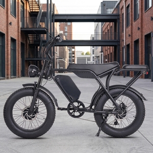 Wins T8 Lokaler US-Lagerbestand Vollgefedertes Mountainbike Stahlrahmen E-Bike 20 Zoll Elektrisches Fatbike - Product Image 1