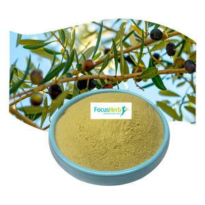 FocusHerb USA Warehouse Wholesale Extrait de feuille d'olivier en poudre d'oléuropéine 20% HPLC - Product Image 1