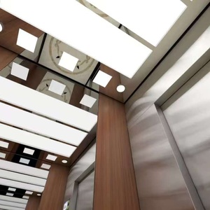 Ascenseur hydraulique pour passagers au design moderne pour intérieur/extérieur, maisons et villas, hôtels Otis - Product Image 4