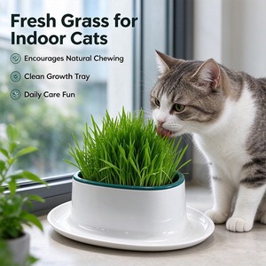 Kind Indoor Cat Grass Grower Bowl Round Pet Herb Planter Enamel Feeding Dish for Home Use - Product Image 1