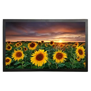 cheap price 43 inch open frame led BNC monitor with AV