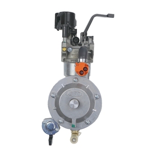 Générateur à double carburant personnalisable en gros 2KW 2.5KW 3KW 5KW 168F SPD GX160 GX200 sans électrovanne carburateur - Product Image 4