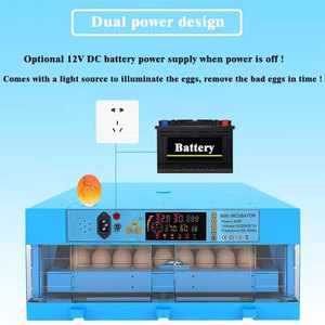 Incubadora Inteligente Totalmente Automática Blue Home para 320 Huevos, Apta para Incubación de Pollos, Patos, Gansos y Palomas - Product Image 2