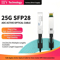 Câble Optique Actif SFP28 25G AOC Full-duplex Prix de Gros 1m 2m 3m avec Fonctions de Diagnostic Numérique Intégrées Faible Interférence 5G