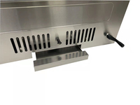 Barbecue Encastrable d'Extérieur Commercial Haut de Gamme en Acier Inoxydable, Barbecue de Luxe au Charbon et au Gaz